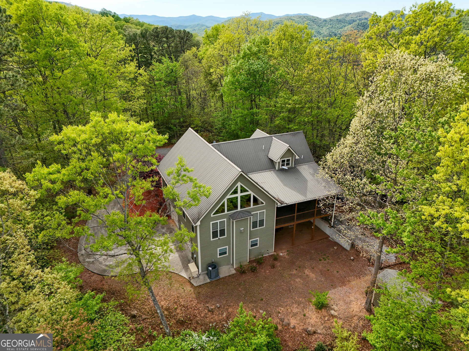 1176 Tiger Pass Drive Tiger, GA 30576 - Photo 2 of 67 an aerial view of a house with a yard