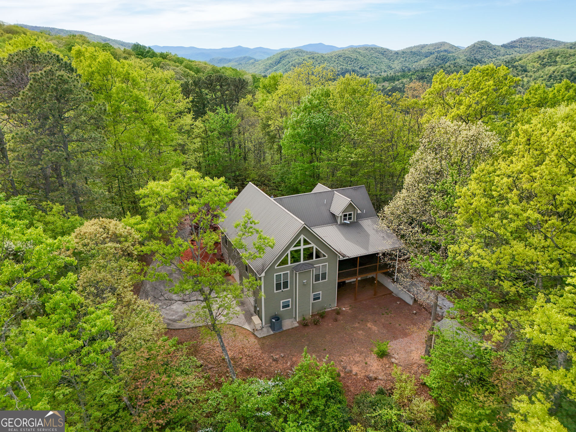 1176 Tiger Pass Drive Tiger, GA 30576 - Photo 3 of 67 an aerial view of a house with a yard