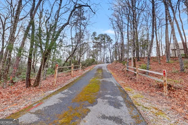 $777,777 | 1176 Tiger Pass Drive, Tiger, GA 30576