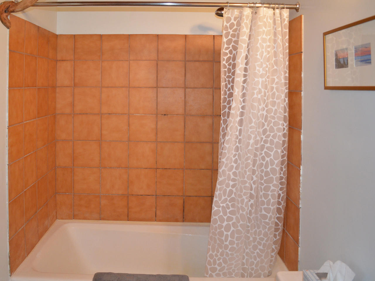 174-180 Back Shore Road Round Pond, ME 04564 - Photo 17 of 29 Shower 1280