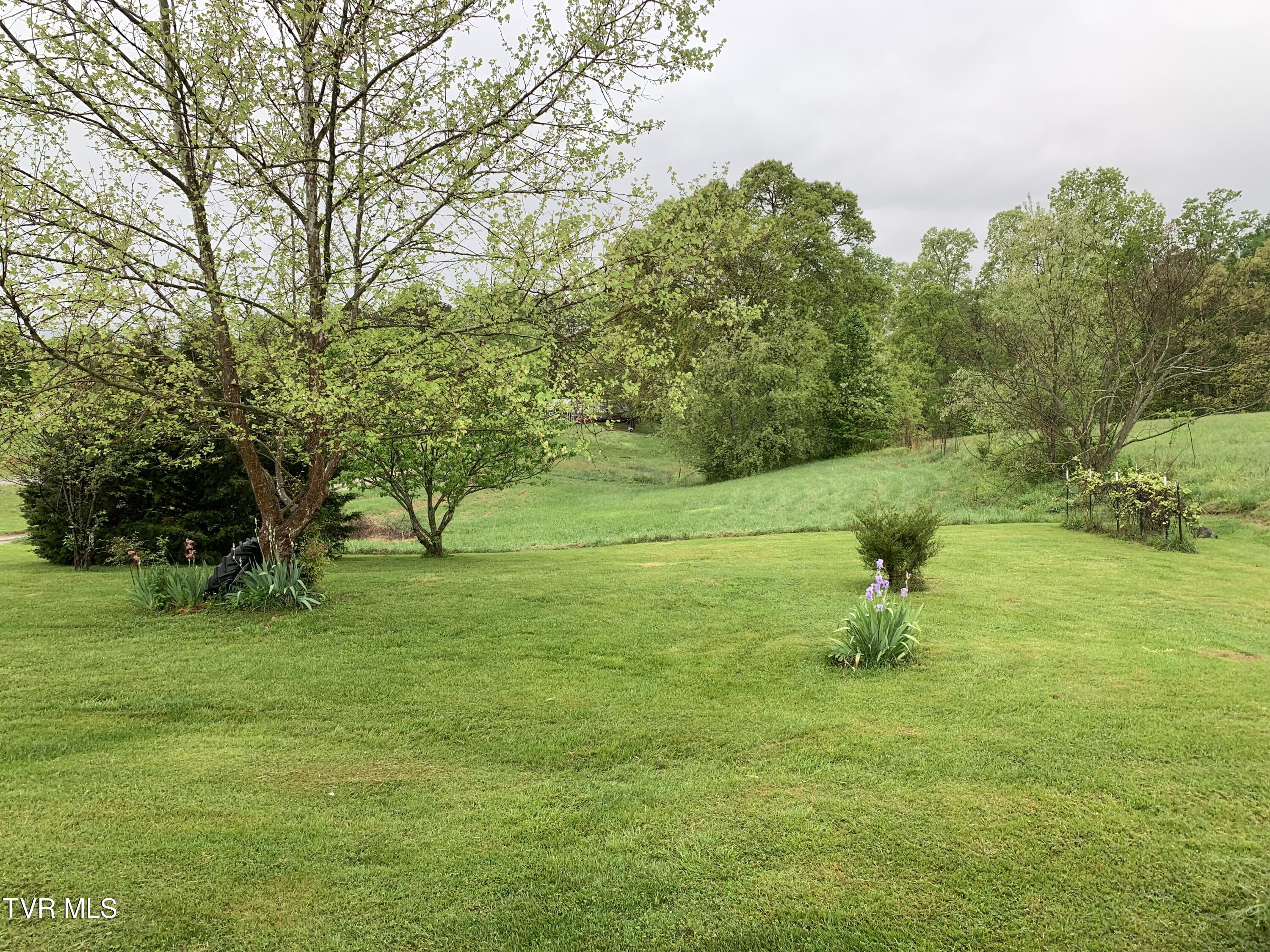 219 Pepper Mill Road Chuckey, TN 37641 - Photo 29 of 30 IMG_6753