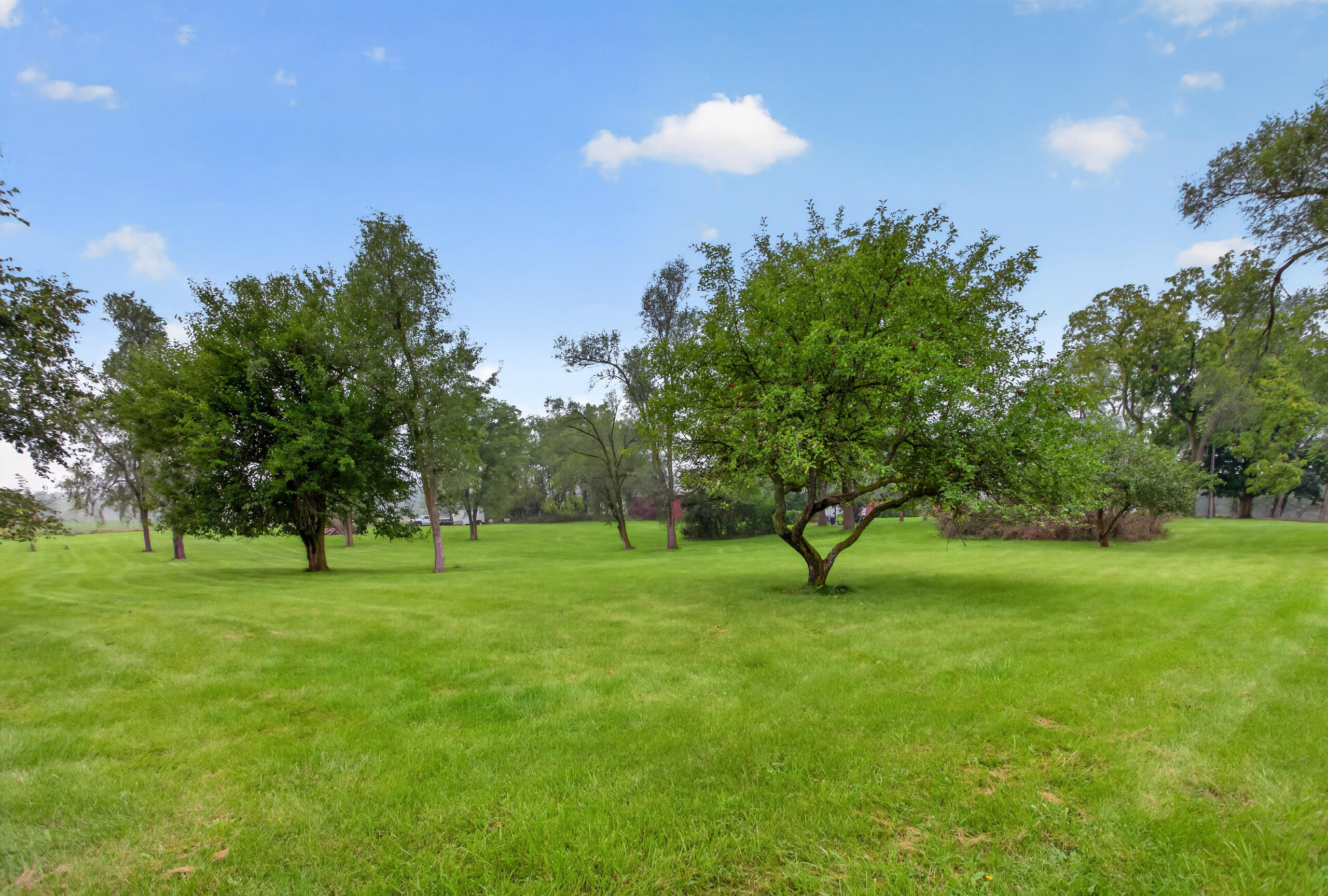 13545 East Austin Road Manchester, MI 48158 - Photo 60 of 73 IMG_8181