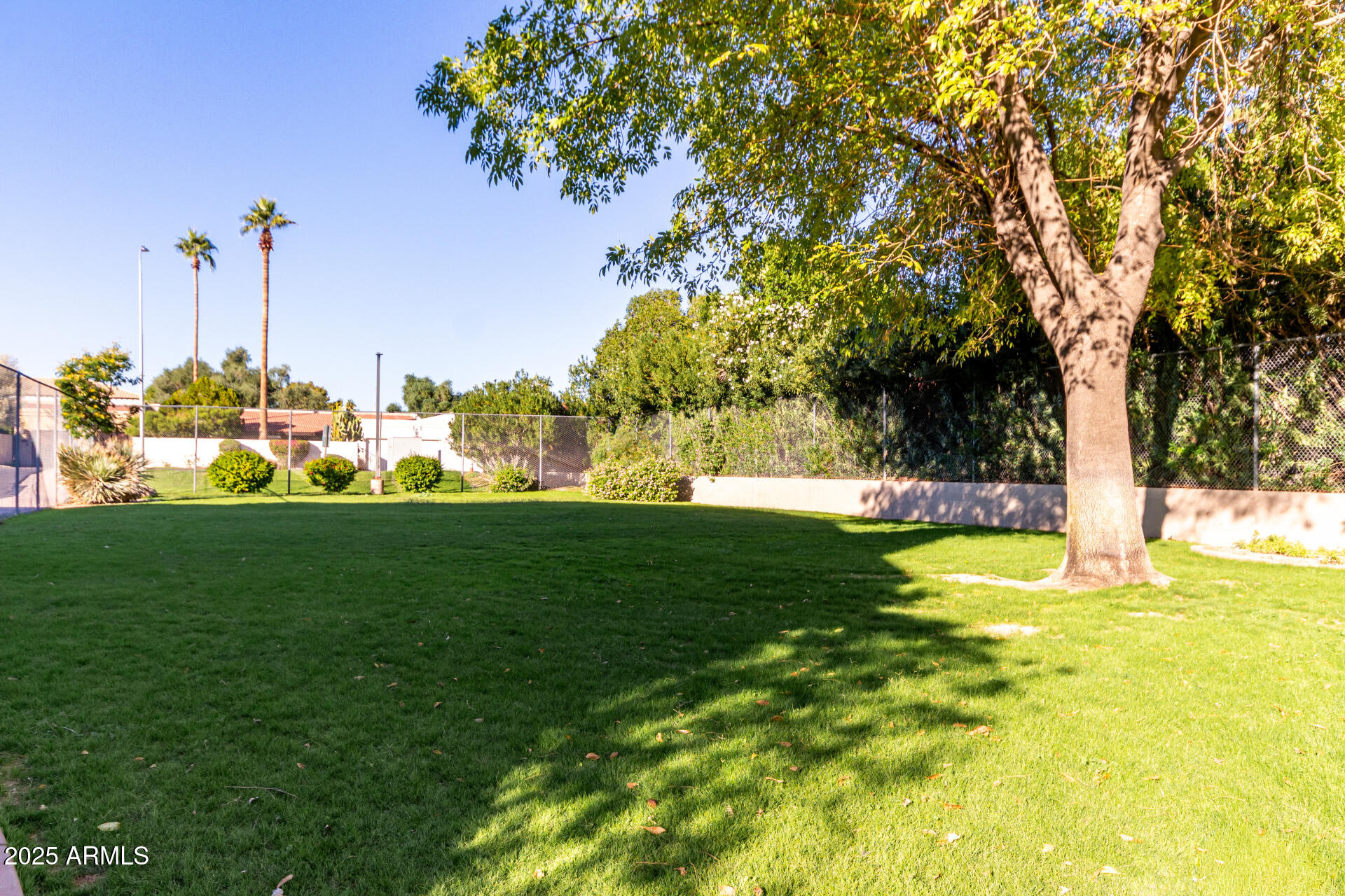1207 East Northshore Drive, Unit 136 Tempe, AZ 85283 - Photo 34 of 49 a view of a golf course with a tree