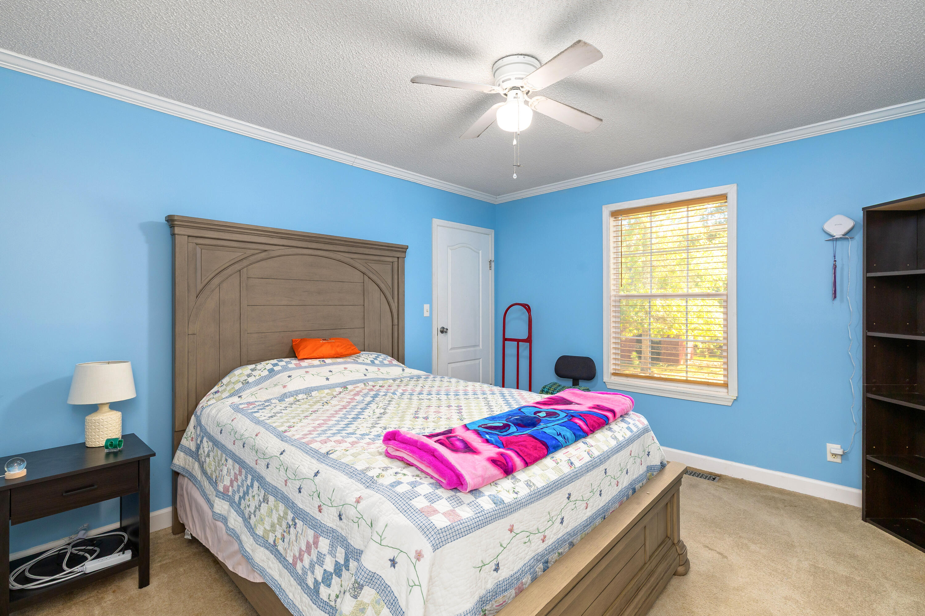 317 Friendship Road Camden, SC 29020 - Photo 21 of 34 29