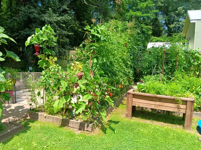 $224,900 | 67 Sundago Park Street, Hastings, MI 49058