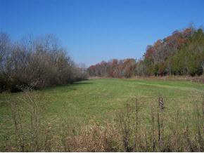 0 Roaring Fork Road, Unit 3A Greeneville, TN 37745 - Photo 2 of 9 Photo 2
