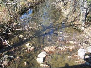 0 Roaring Fork Road, Unit 3A Greeneville, TN 37745 - Photo 3 of 9 Photo 3