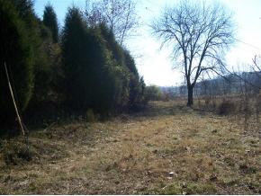 0 Roaring Fork Road, Unit 3A Greeneville, TN 37745 - Photo 7 of 9 Photo 7