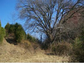 0 Roaring Fork Road, Unit 3A Greeneville, TN 37745 - Photo 8 of 9 Photo 8