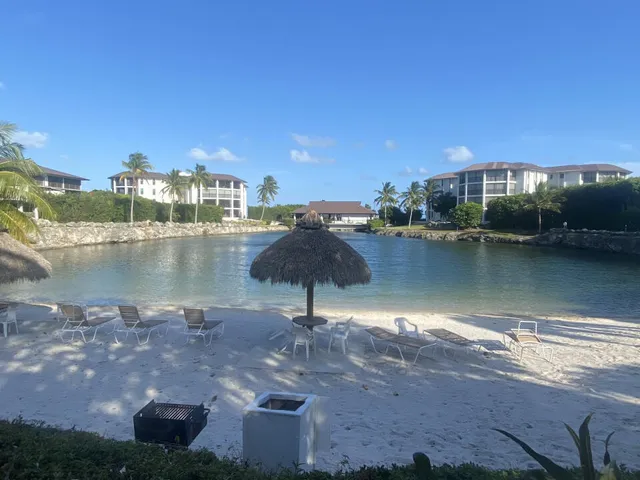a view of a lake with a city view