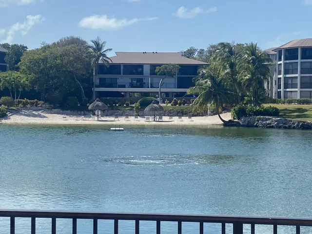a view of swimming pool with outdoor seating and plants