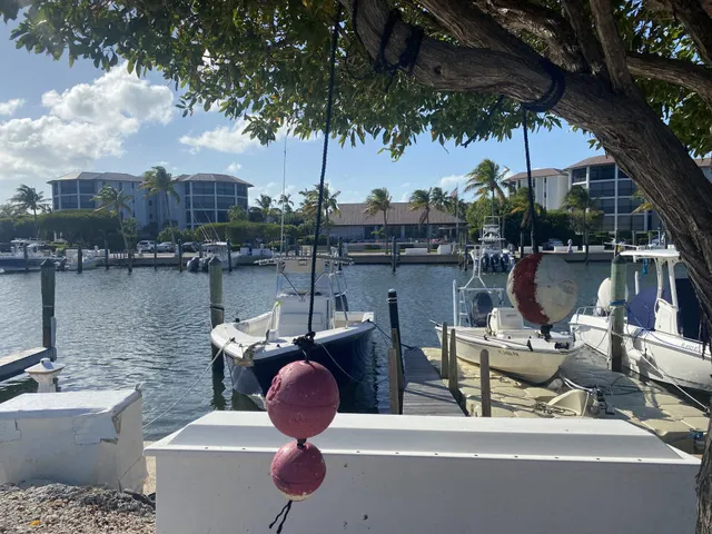 a swimming pool view with a lake view