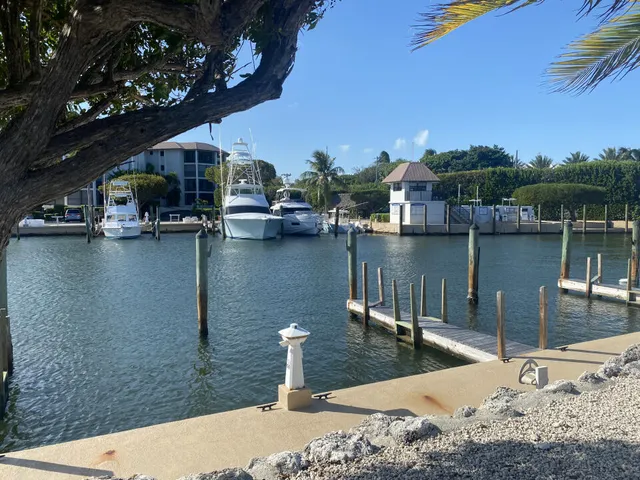 a view of a lake with beach