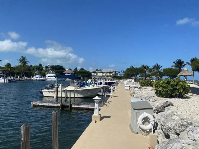 a view of a bunch of flowers in back yard