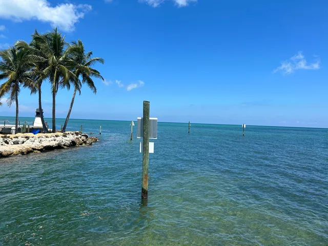 a vase of flowers sitting on a table