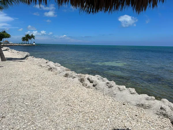a view of a lake with a yard