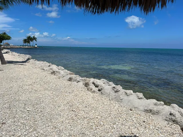 a view of a lake with a yard