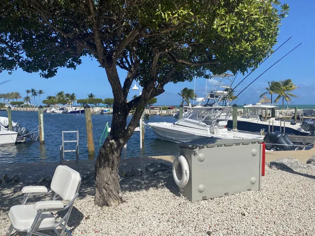 a view of a street with a bench