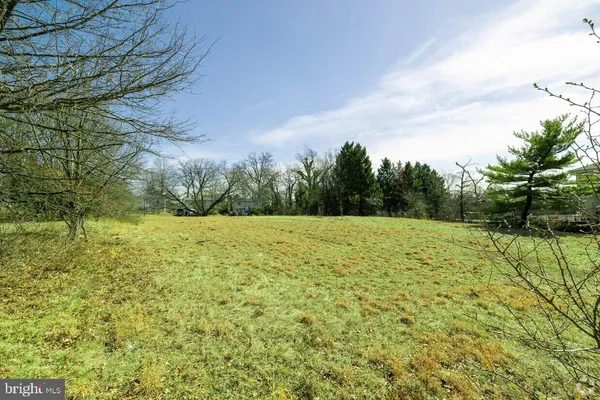 a view of a yard with an trees