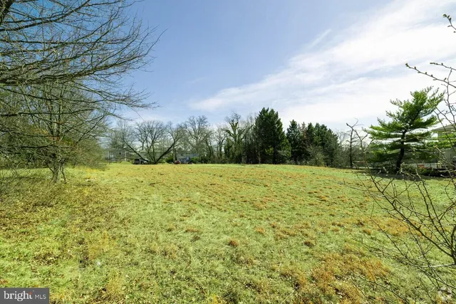 a view of a yard with an trees