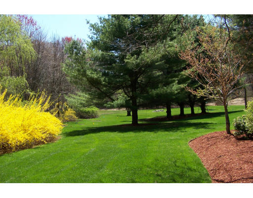 10 Oriole Road Medfield, MA 02052 - Photo 11 of 13 Gallery Image 11