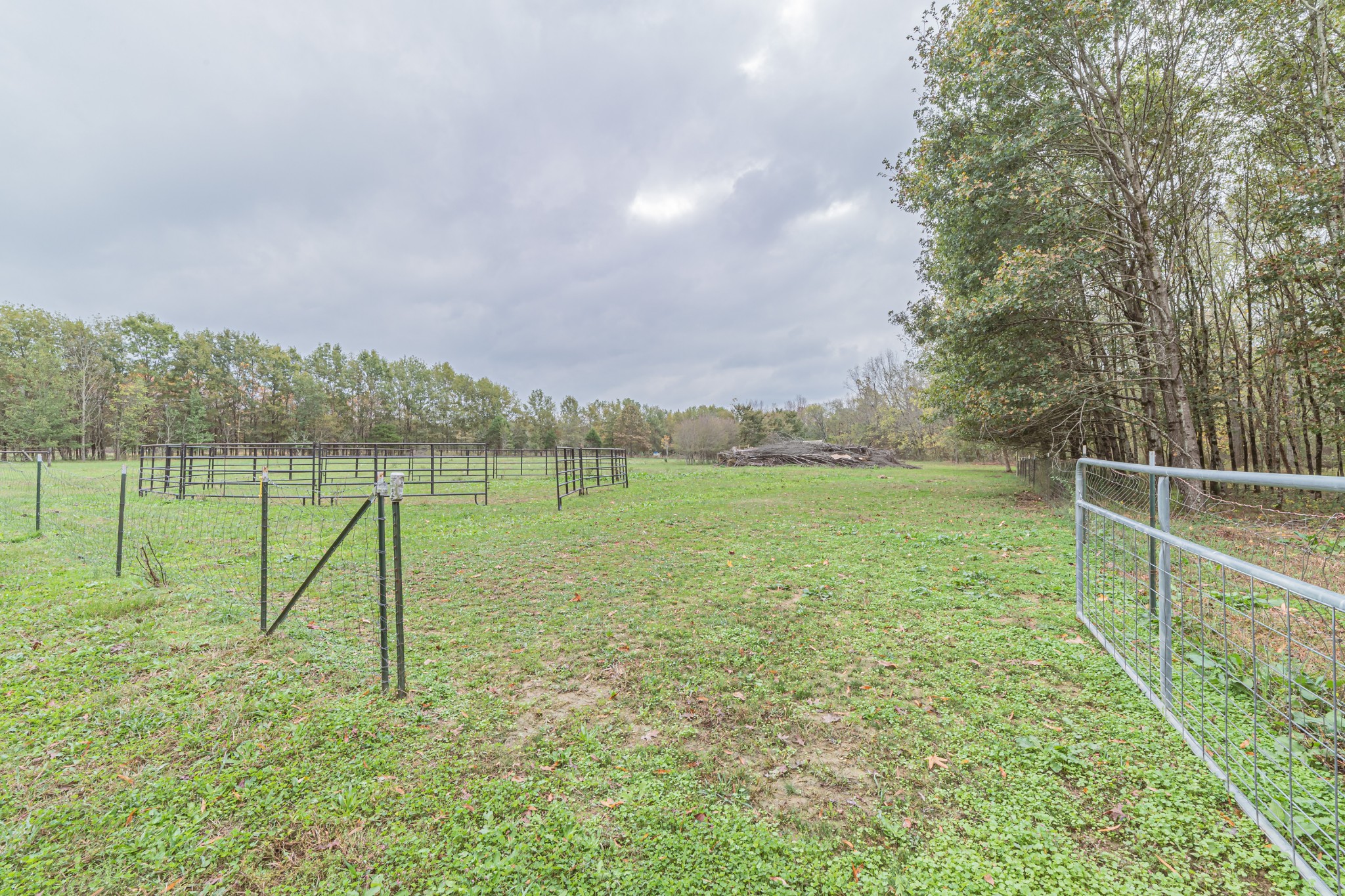 715 Mcgowen Road Morrison, TN 37357 - Photo 36 of 50 a view of a garden with a lake
