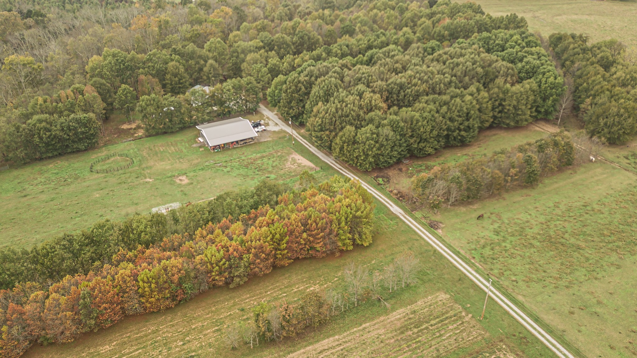 715 Mcgowen Road Morrison, TN 37357 - Photo 40 of 50 a view of a yard with two chairs