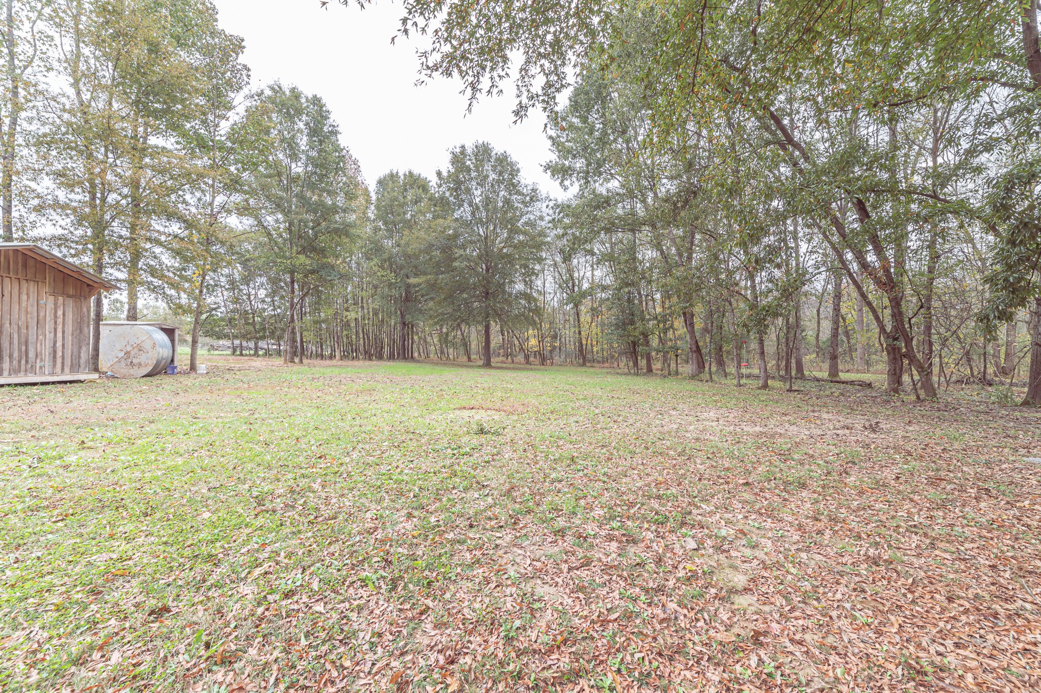 715 Mcgowen Road Morrison, TN 37357 - Photo 41 of 50 a view of outdoor space with deck and tree