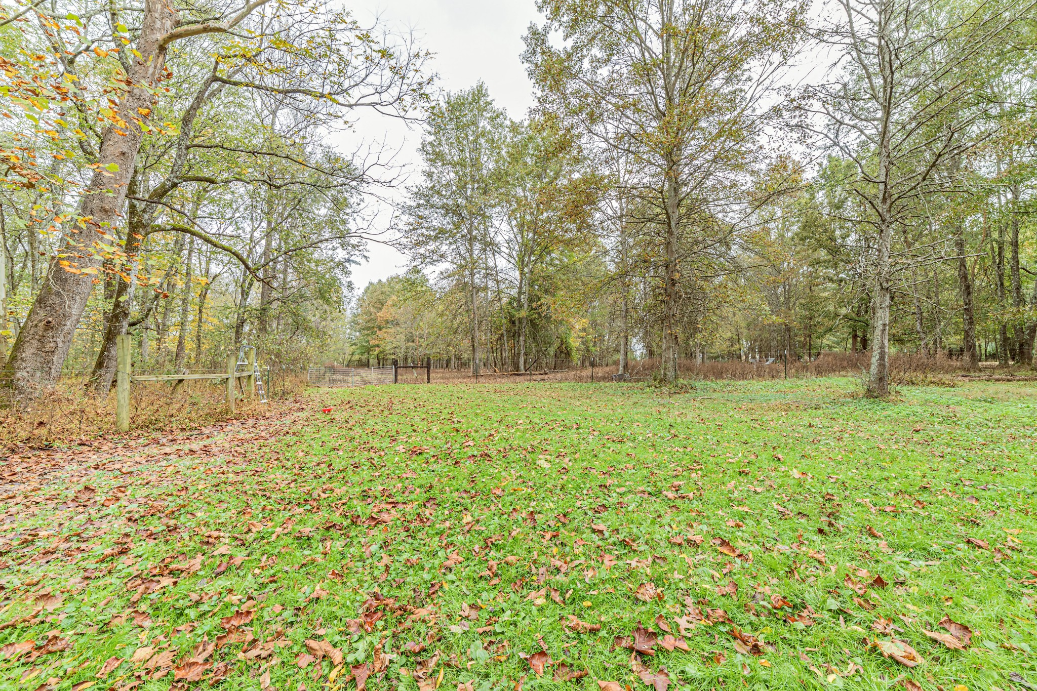 715 Mcgowen Road Morrison, TN 37357 - Photo 44 of 50 a view of outdoor space with deck and yard
