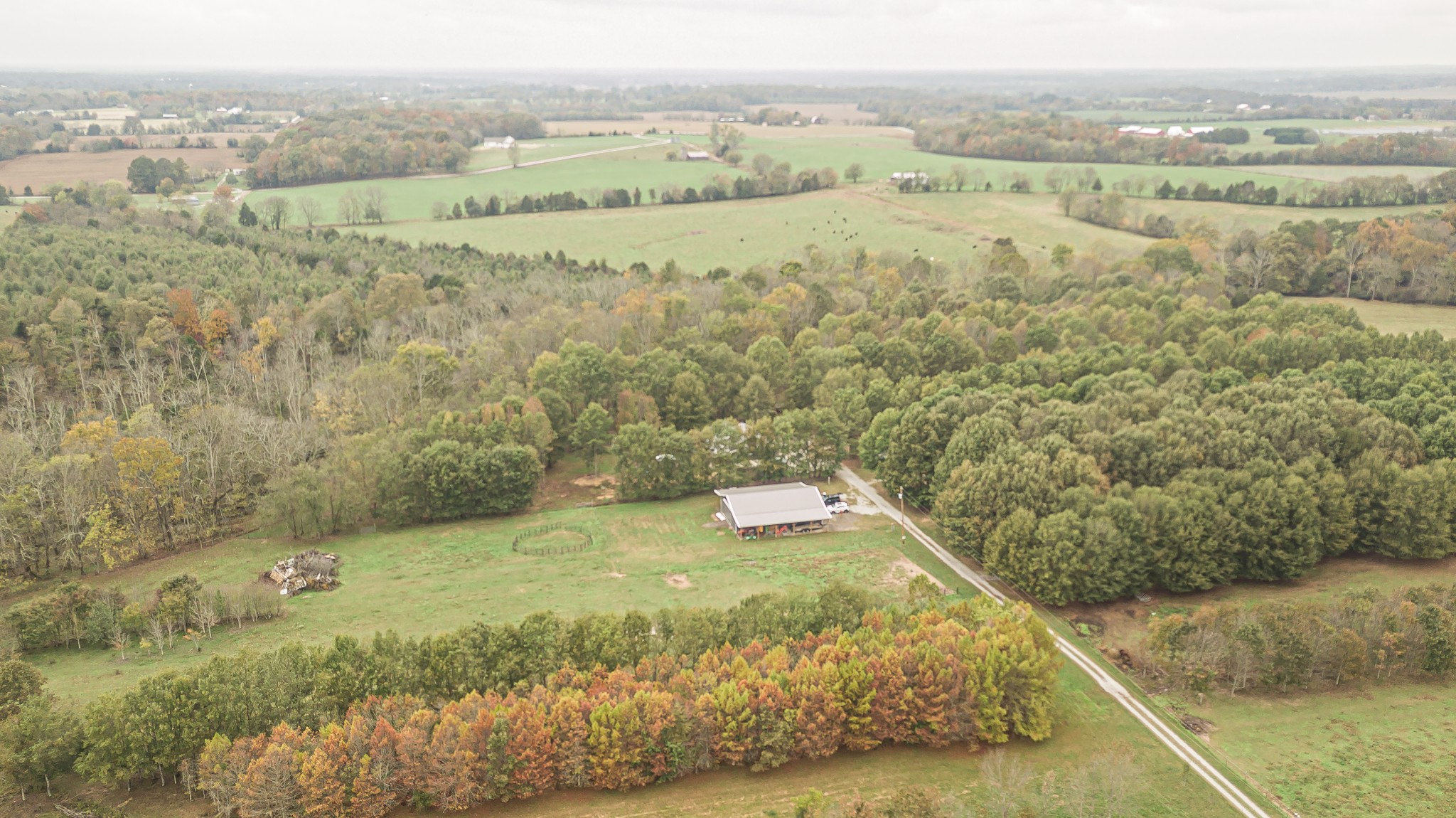 715 Mcgowen Road Morrison, TN 37357 - Photo 48 of 50 a view of a dry yard with trees