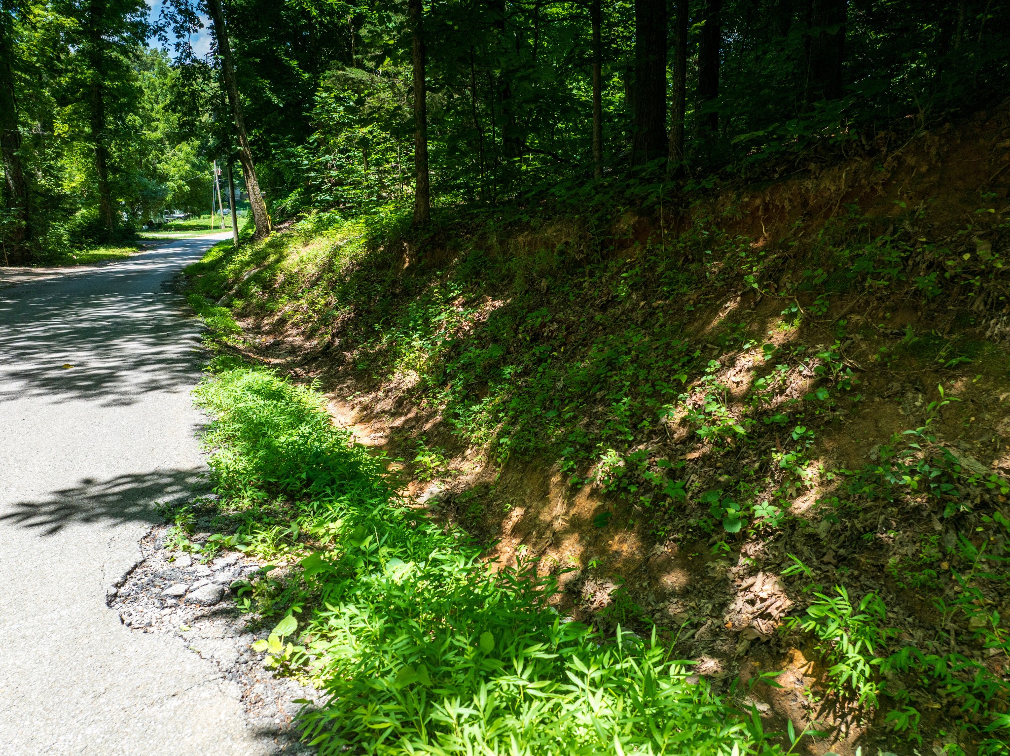 1175 McGhee Road Greenback, TN 37742 - Photo 13 of 31