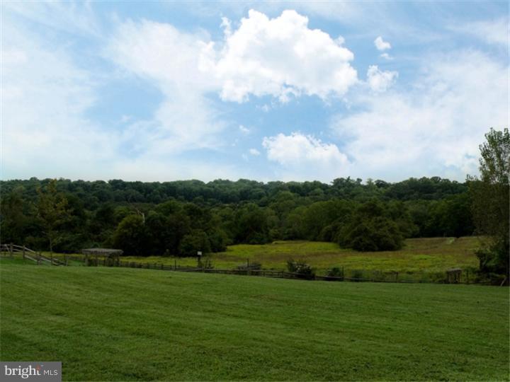 216 Church Road Devon, PA 19333 - Photo 22 of 24 View in Back