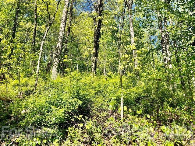 0 Gambrell Hill Road, Unit 5 Clyde, NC 28721 - Photo 6 of 8
