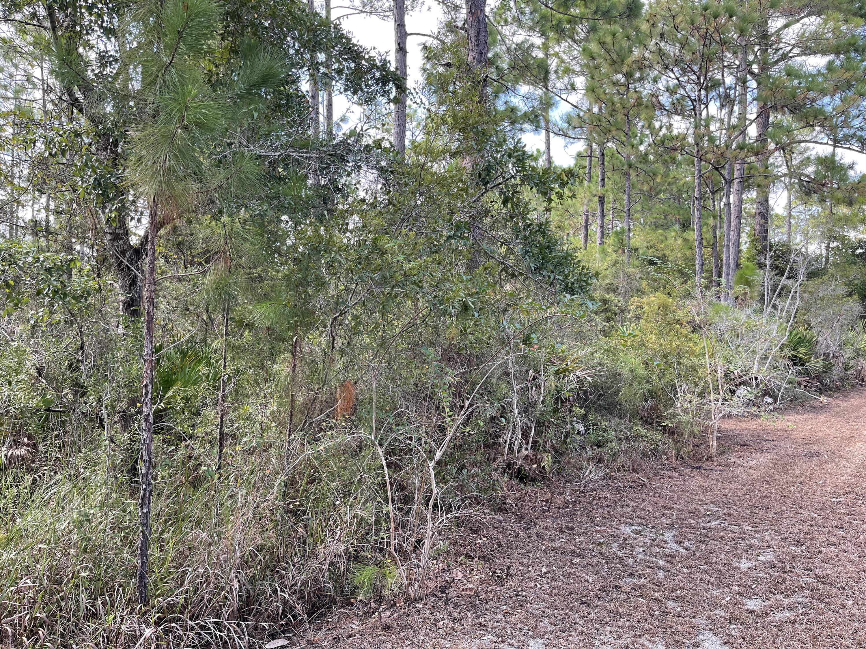 2 Mario Road Santa Rosa Beach, FL 32459 - Photo 1 of 4 Lot 2