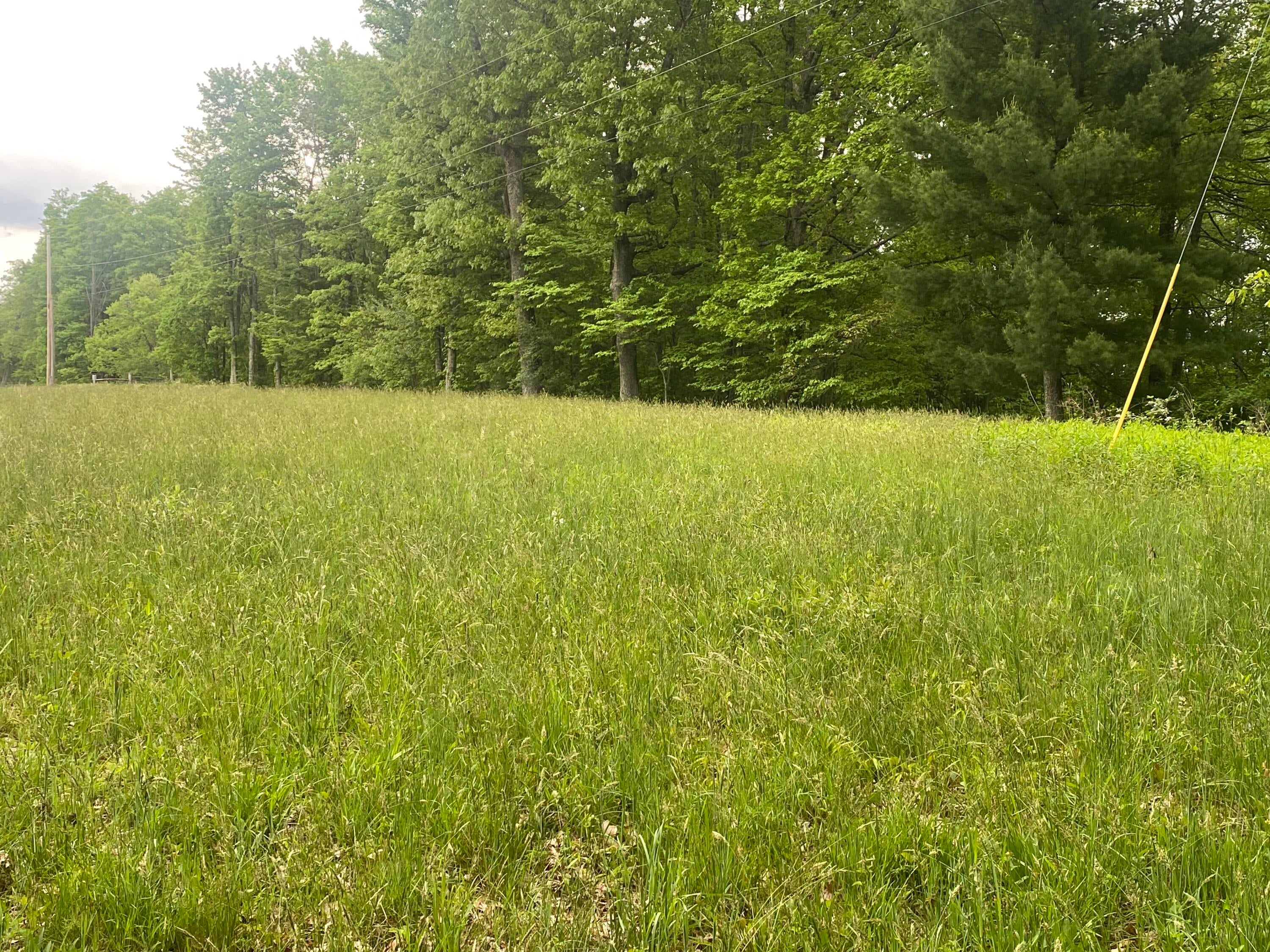 254 Tanyard Road Smoot, WV 24977 - Photo 51 of 84 Gallery Image 51