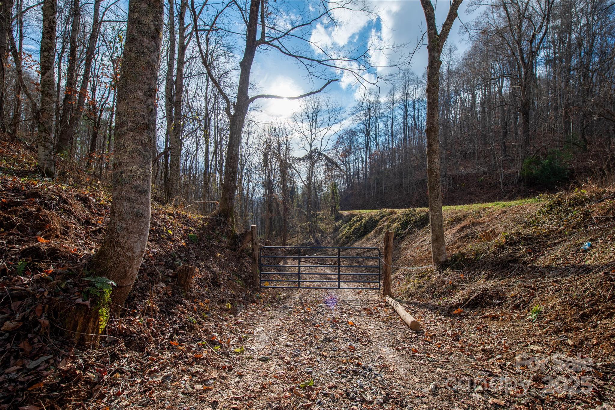 ### Grapevine Road Marshall, NC 28753 - Photo 12 of 27 a backyard of a house with lots of green space