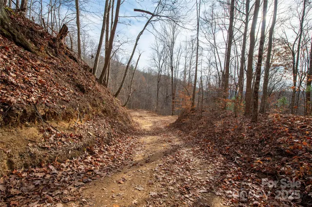 a view of large yard