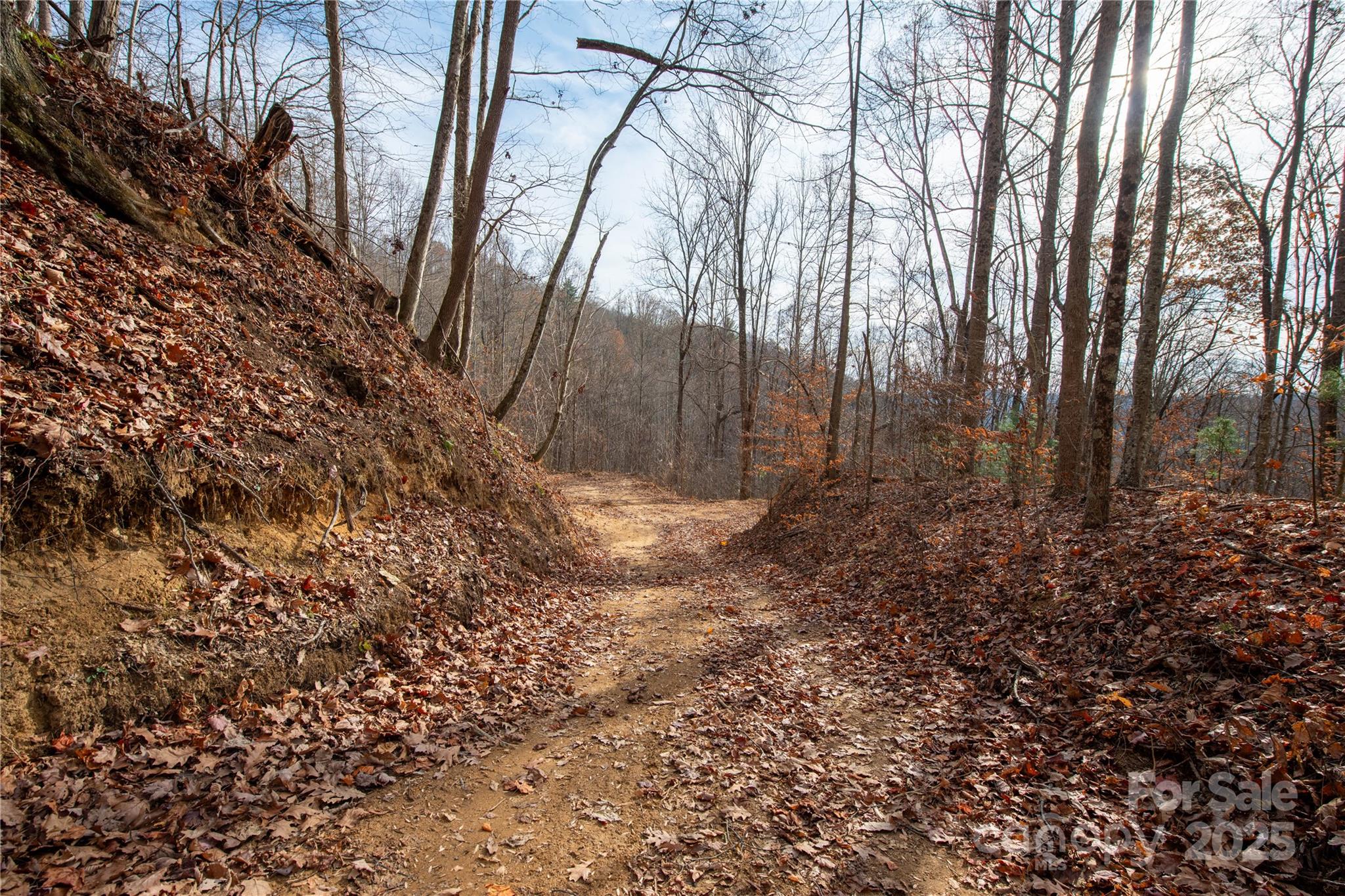 ### Grapevine Road Marshall, NC 28753 - Photo 13 of 27 a view of backyard of house