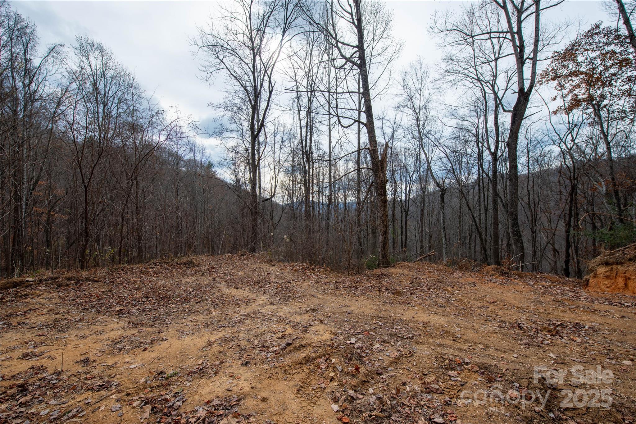 ### Grapevine Road Marshall, NC 28753 - Photo 15 of 27