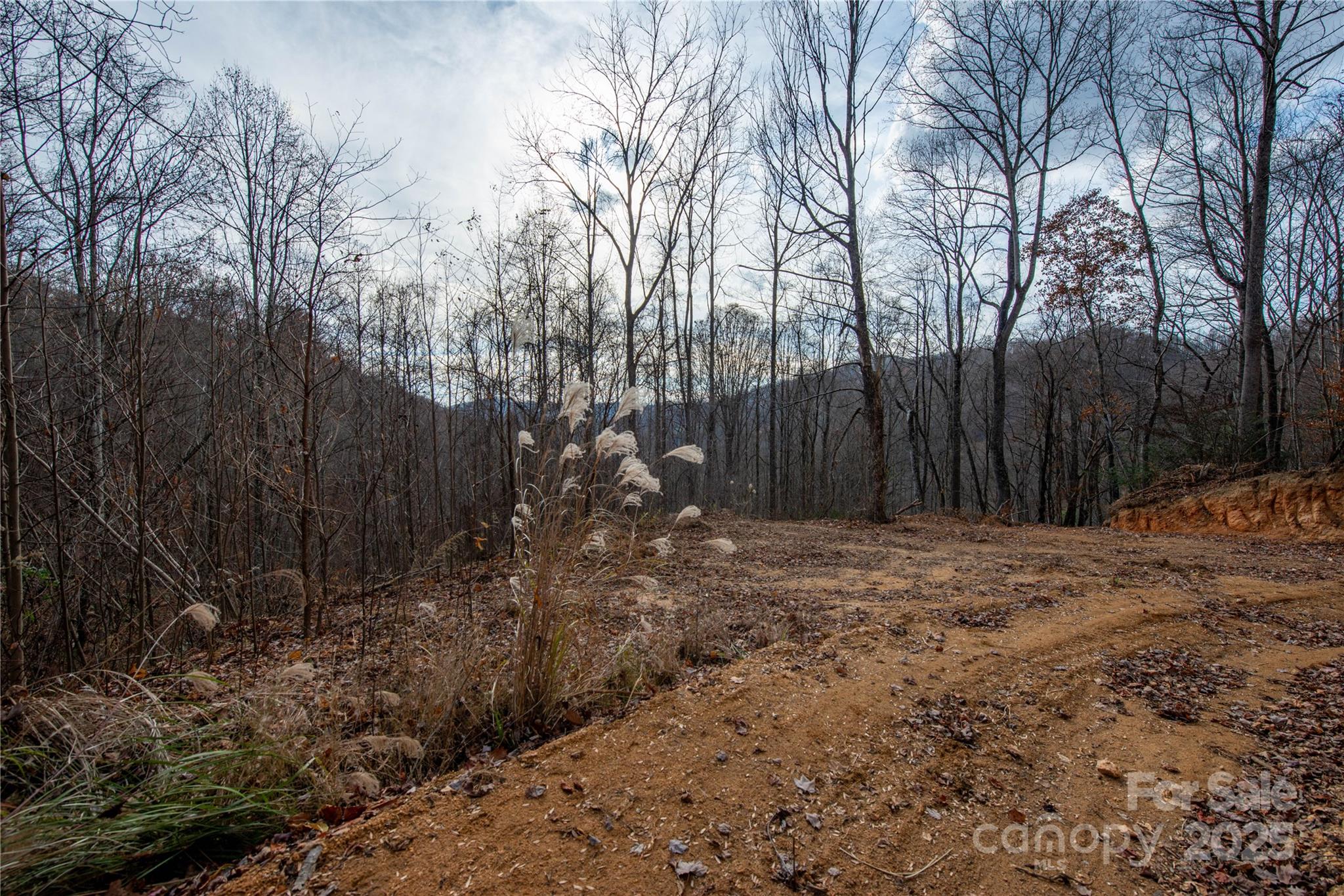 ### Grapevine Road Marshall, NC 28753 - Photo 16 of 27 a view of backyard with green space
