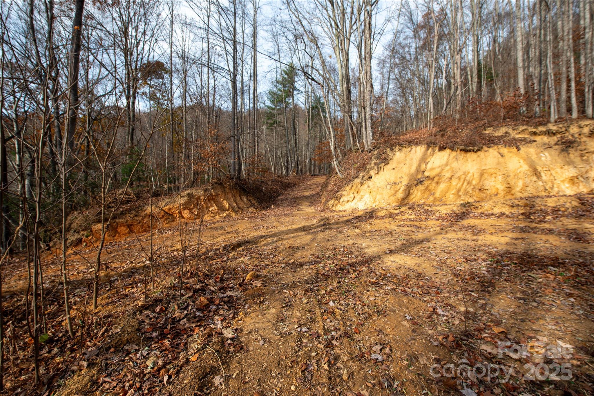 ### Grapevine Road Marshall, NC 28753 - Photo 17 of 27 a view of large yard