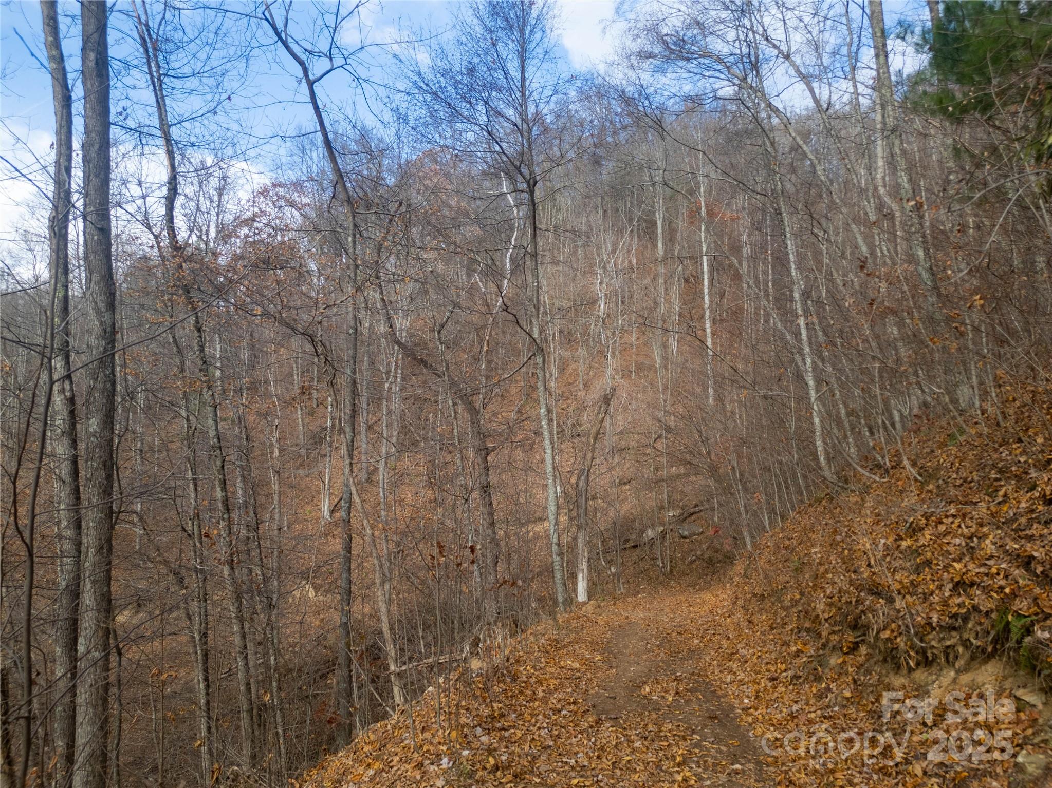 ### Grapevine Road Marshall, NC 28753 - Photo 18 of 27 a view of a pathway of a yard
