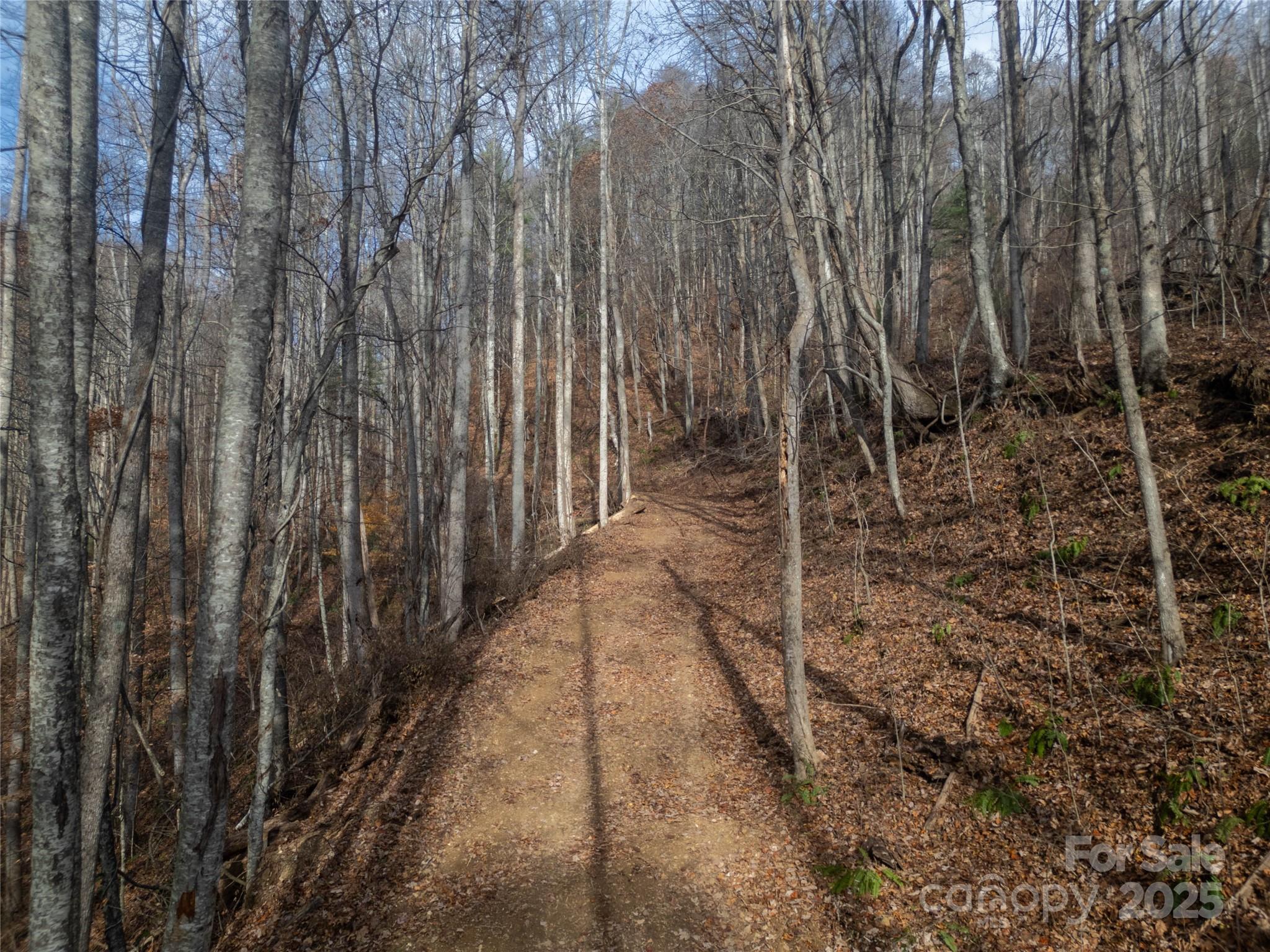 ### Grapevine Road Marshall, NC 28753 - Photo 19 of 27