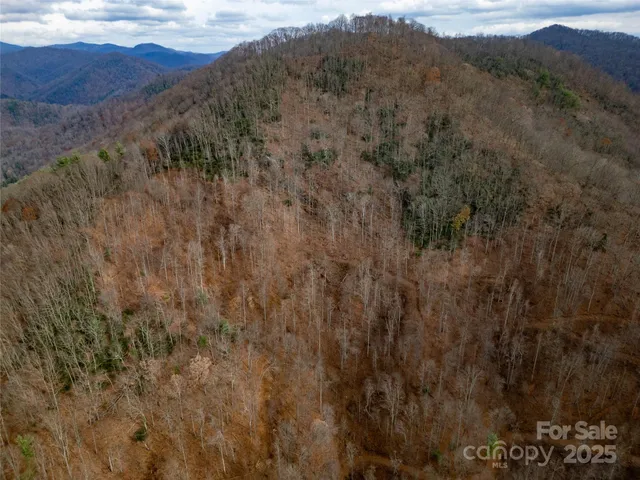 a view of a forest with mountains in the background