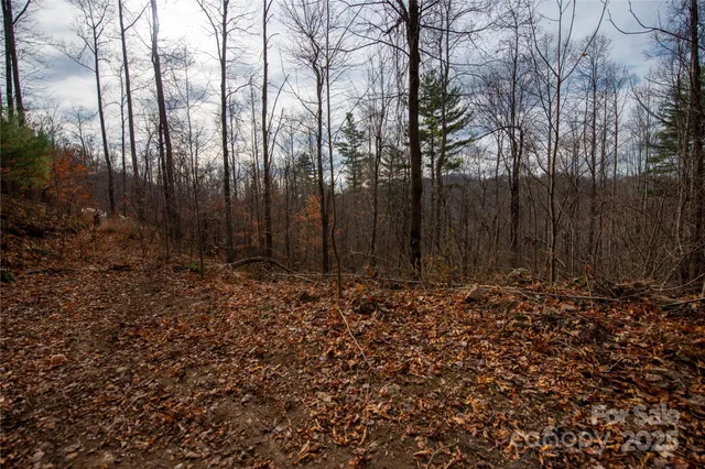 a view of a yard with trees