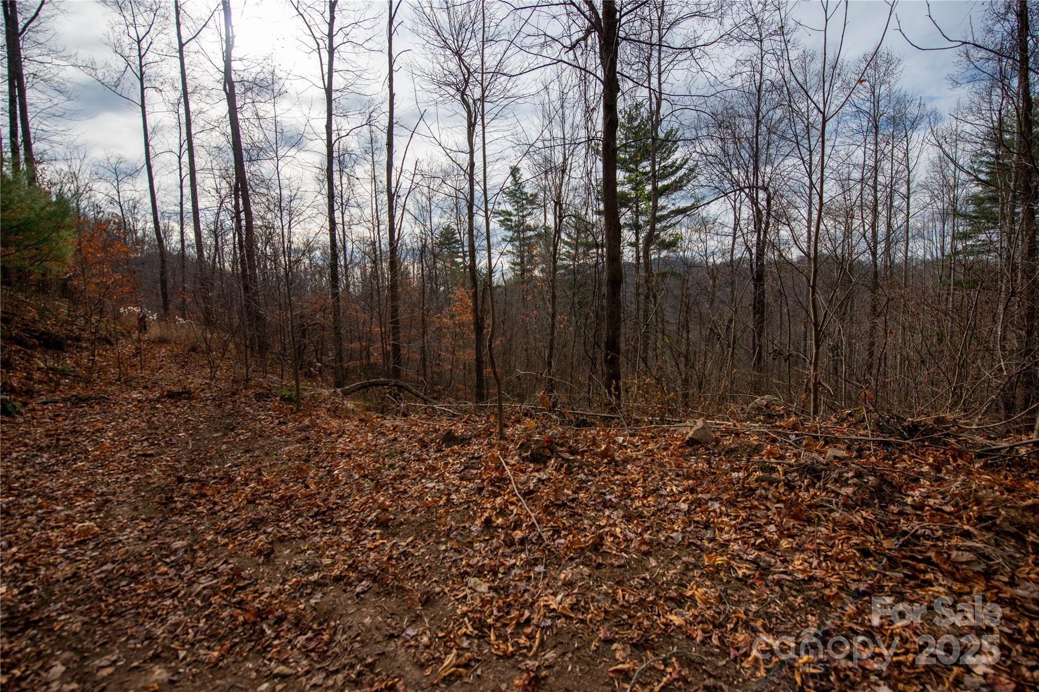### Grapevine Road Marshall, NC 28753 - Photo 21 of 27 a large yard with lots of green space