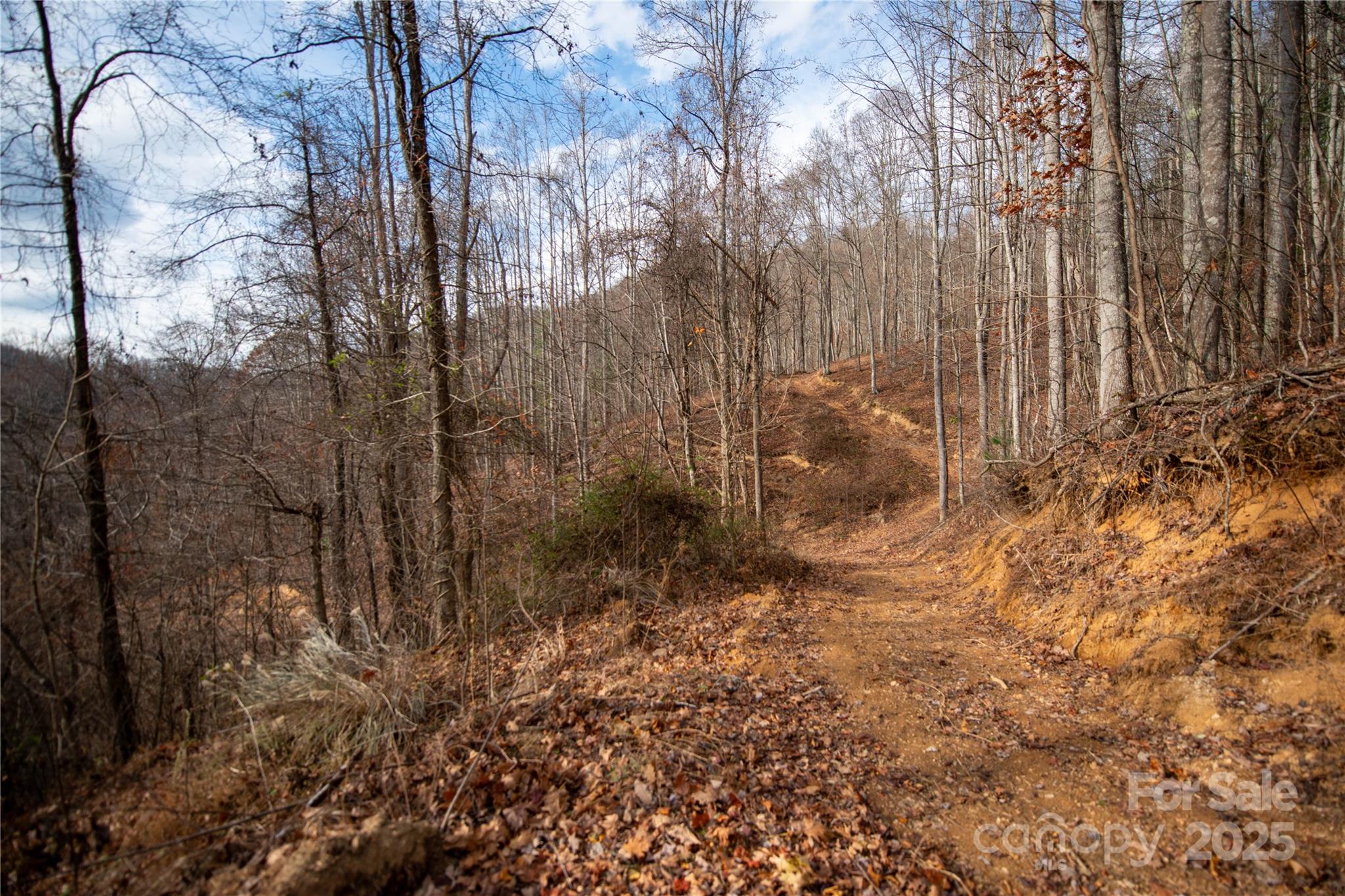 ### Grapevine Road Marshall, NC 28753 - Photo 22 of 27 a view of a yard with trees in front of it