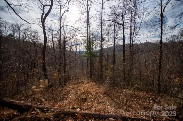 $249,000 | ### Grapevine Road, Marshall, NC 28753