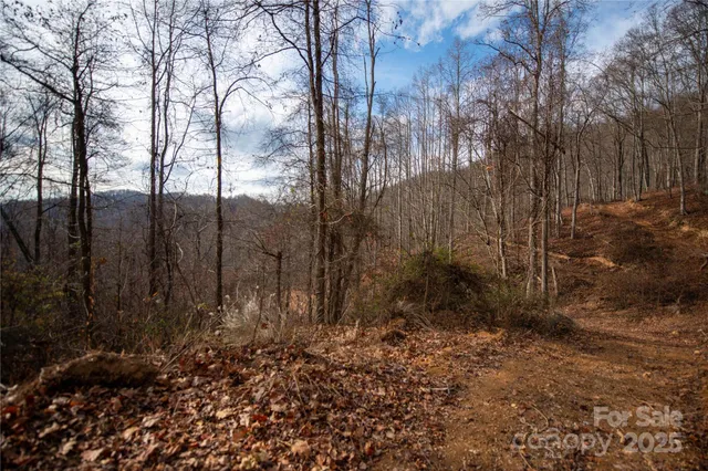 $249,000 | ### Grapevine Road, Marshall, NC 28753