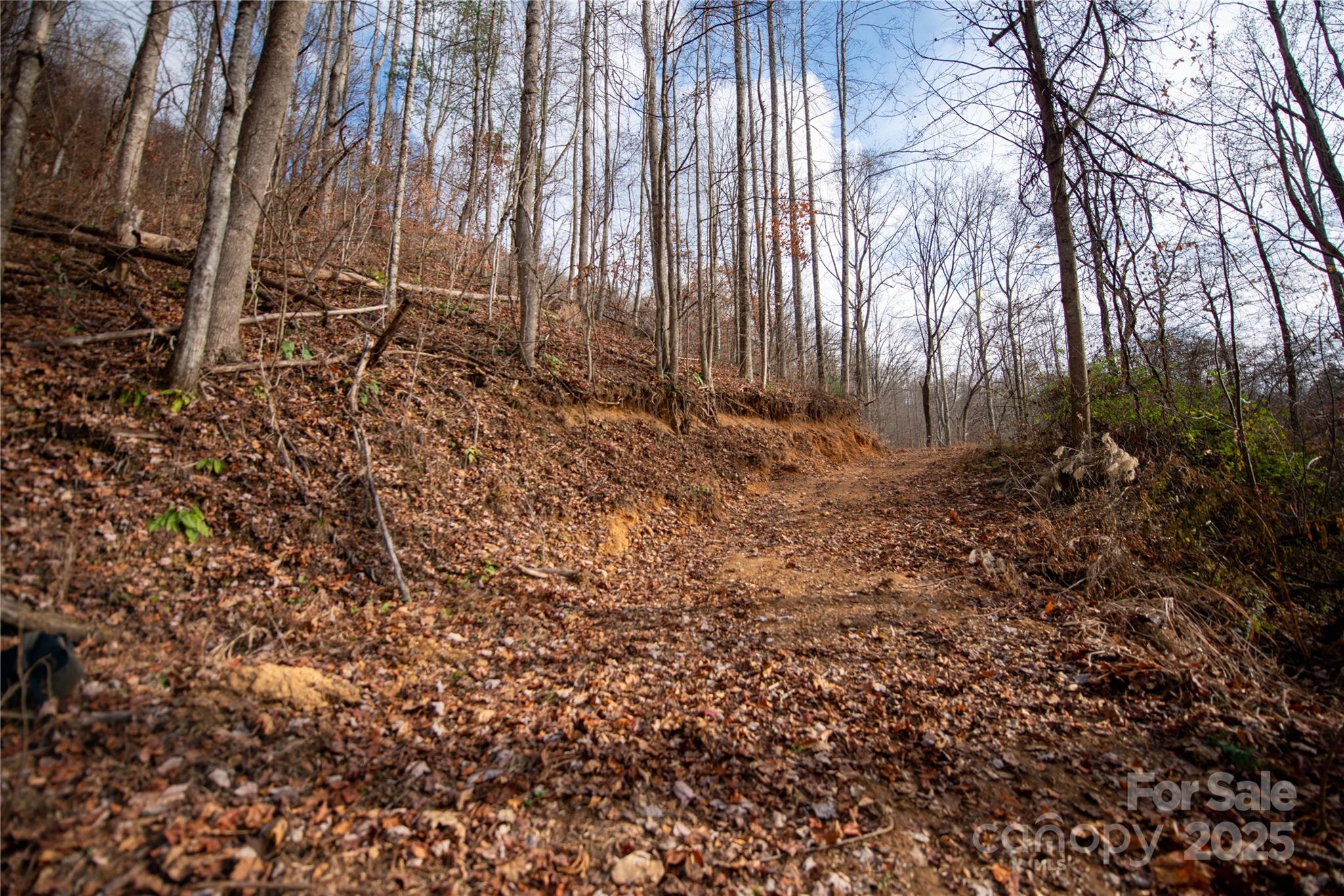 ### Grapevine Road Marshall, NC 28753 - Photo 25 of 27 a view of a backyard